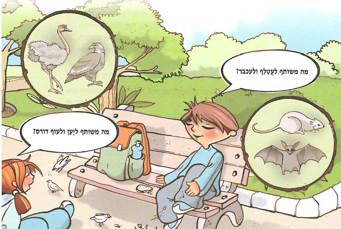 (בספר איור, היעזר במנחה)